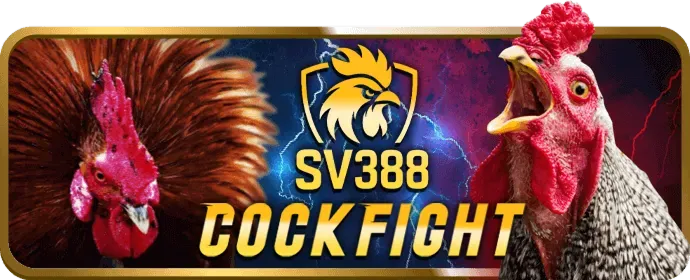 Tính năng nổi bật của s999